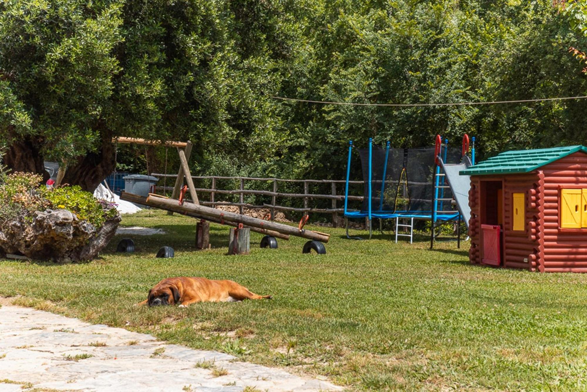 Agriturismo San Basilio Salento 외부 사진