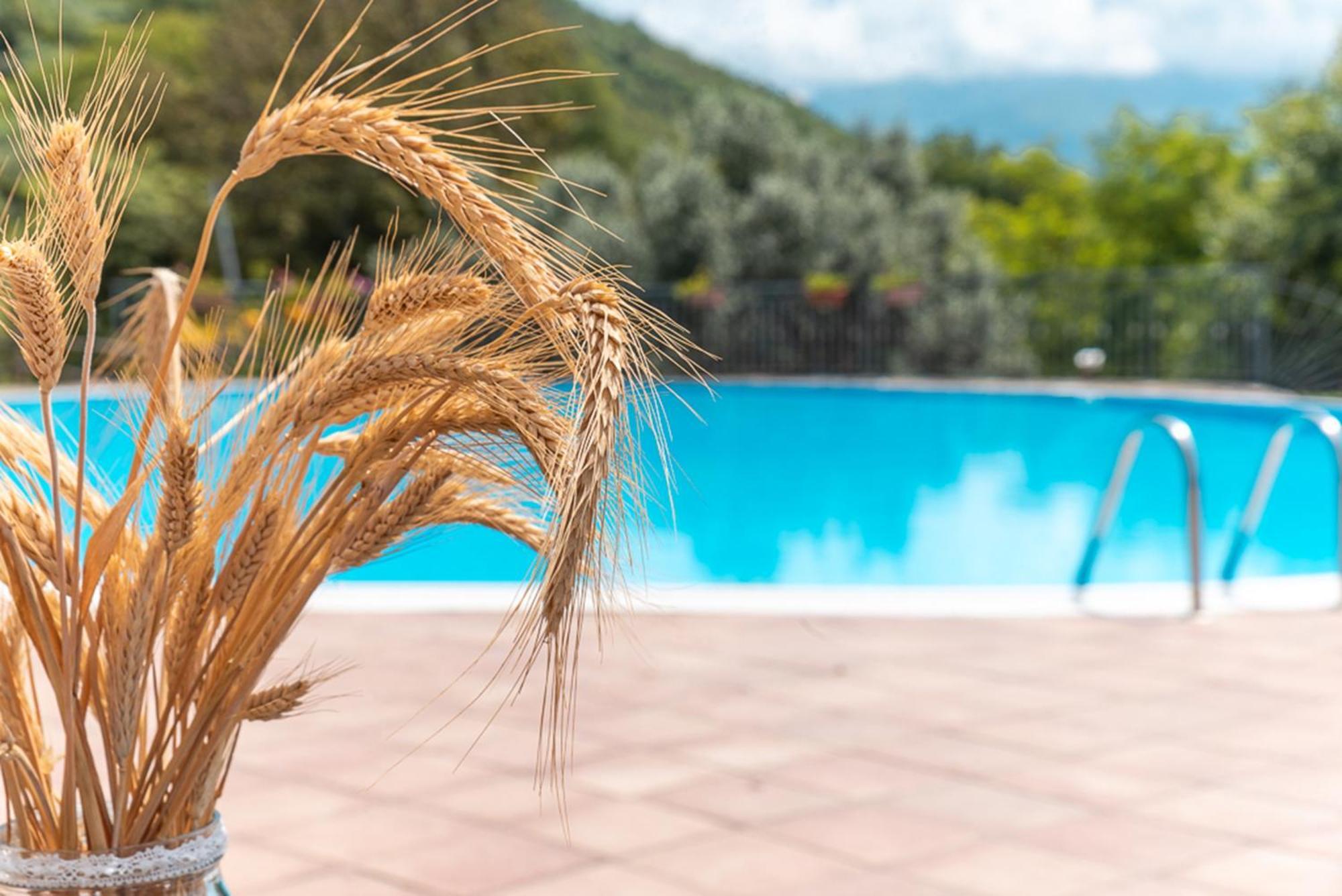 Agriturismo San Basilio Salento 외부 사진